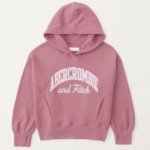 Abercrombie Kids Logo Popover Hoodie